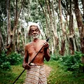 Descoperire șocantă despre Neanderthali: consumau larve în mod intenționat. Motivul îi uimește pe cercetători