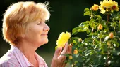 Mirosurile florale, arma secretă pentru un creier sănătos și combaterea Alzheimer