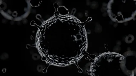 Rabia (Turbarea): simptome, tratament, cauze si diagnostic