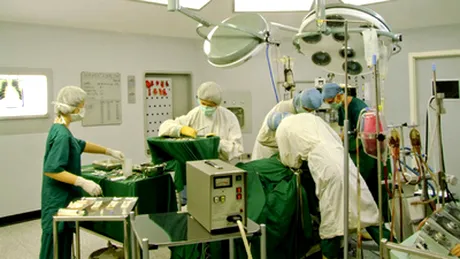 Cercetătorii japonezi au creat un ficat artificial funcţional