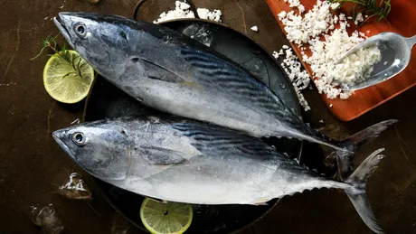 Nu mânca acești 3 pești! Pot provoca depresie, insomnie și chiar ceață mentală