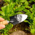 Ingredientul din bucătărie care usucă buruienile în doar câteva zile. Mulți români îl au deja în casă