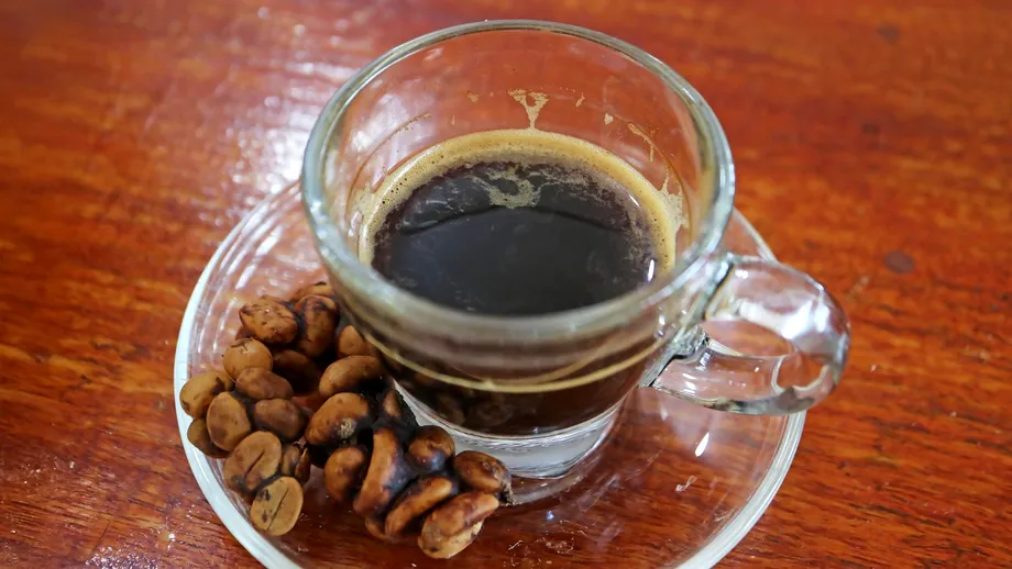 Excrementele acestui animal produc cea mai scumpă cafea din lume, care se vinde cu 100 de dolari ceașca