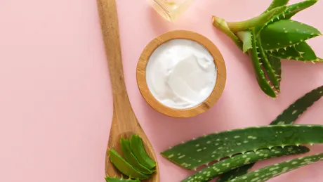 Aloe vera, secretul pentru sănătatea pielii tale