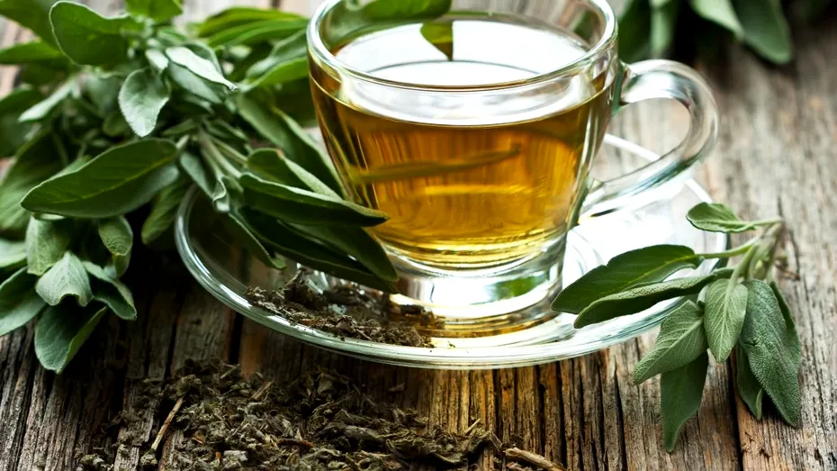 Ceaiul de salvie - ce beneficii și reacții adverse poate avea, cine trebuie să îl evite