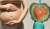 Statul oferă 15.000 de lei pentru fertilizare in vitro. Cine poate primi banii și cum te înscrii?