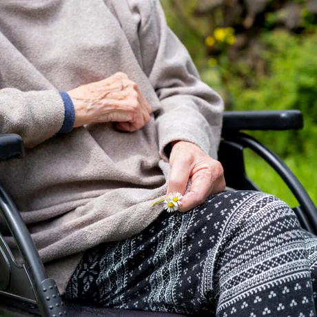 Lista bolilor pentru care se acordă certificat de handicap cu însoțitor