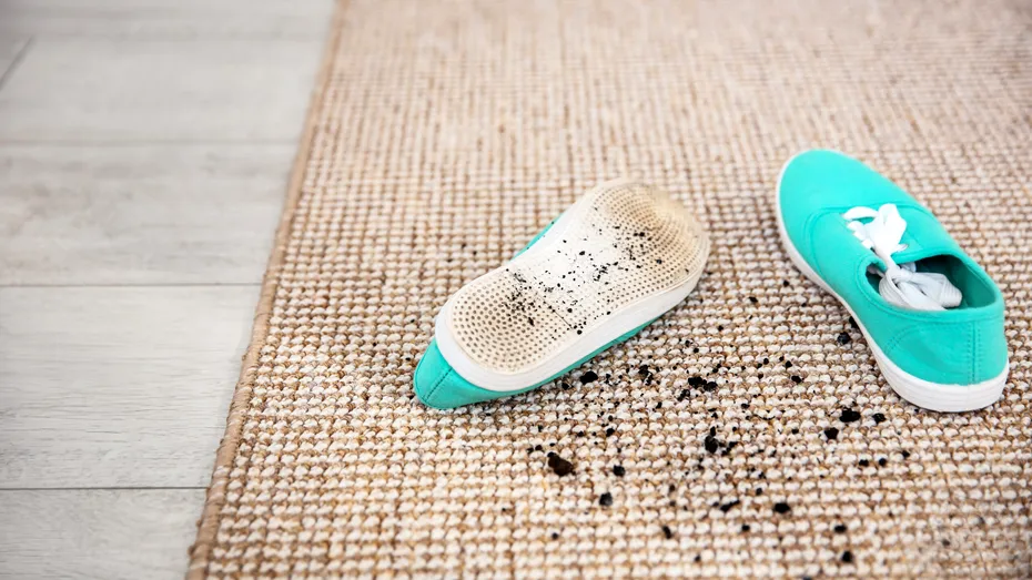 De ce nu e bine să mergi încălțat prin casă. Obiecte din casă pe care le transformi în „rezervoare” de germeni
