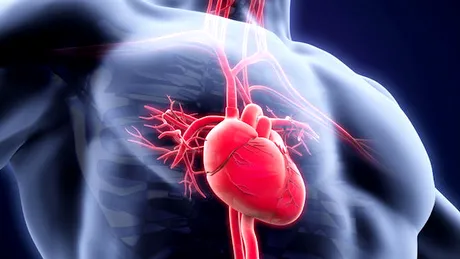 Tromboza venoasa profunda: simptome si tratament