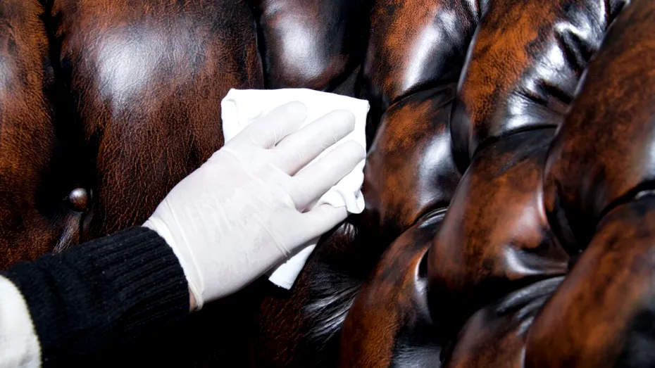 Cea mai ușoară metodă de curățare a fotoliilor din piele. Ai nevoie doar de două ingrediente din bucătărie