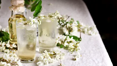 Rețetă de salcâmată - băutură delicioasă din flori de salcâm, fără drojdie