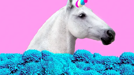 Ce înseamnă să fii unicorn sexual?