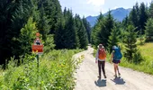 Comunicat de presă: De la burnout la „vreau să demonstrez că pot”: cine sunt oamenii care au ales 10 zile de stres bun pe Via Transilvanica. Primele tipologii identificate în studiul MedLife