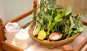 Ierburi aromatice pentru tinerețe veșnică: cimbru, rozmarin, busuioc, salvie și lavandă