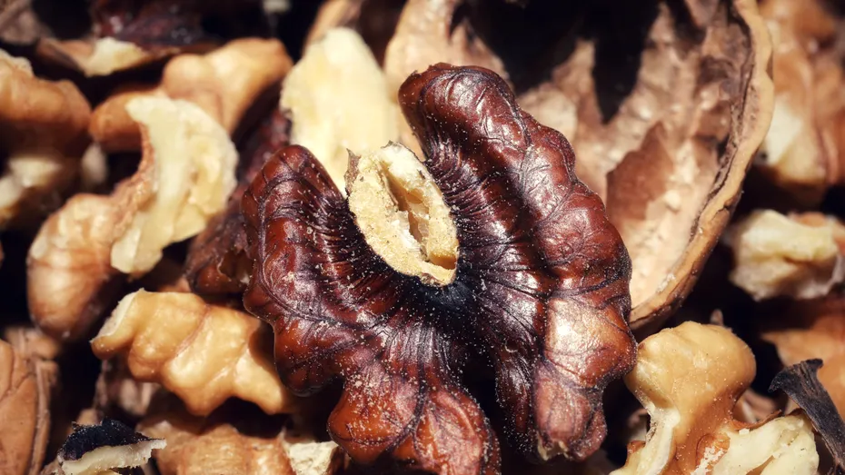 Ingredientul din cozonac care te poate strica la stomac. 3 semne prin care recunoști nucile râncezite