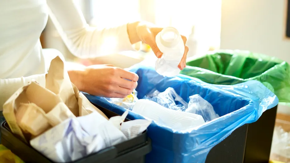 Cum să elimini mirosurile neplăcute din coșul de gunoi cu un singur ingredient – costă doar 1 leu
