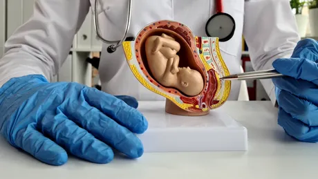 Placenta „îmbătrânită”: ce este și cum afectează sarcina?