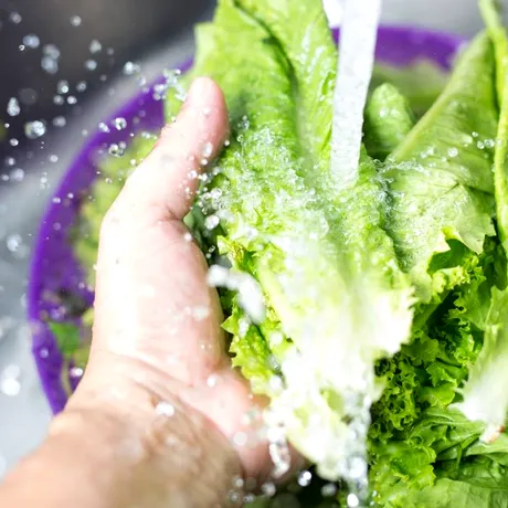 Tipul de salată pe care NU ar trebui să îl speli înainte de consum. Poate crește riscul de contaminare cu bacterii