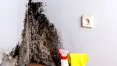 Mucegaiul din casă – ce pericole reprezintă pentru sănătate