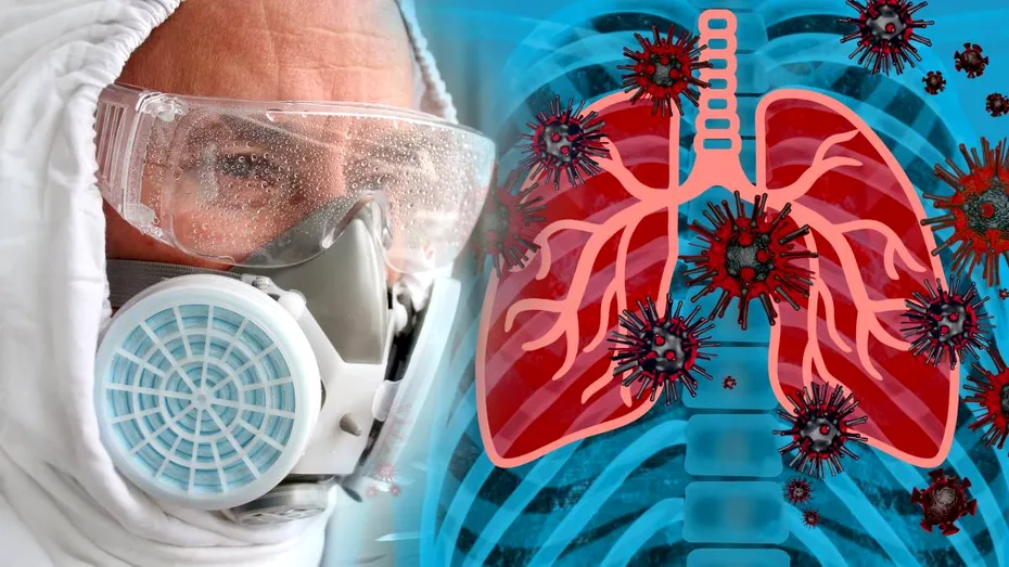 OMS avertizează că ar putea apărea noi cazuri de Hantavirus după focarul de pe nava MV Hondius. O pacientă din Franța este în stare gravă