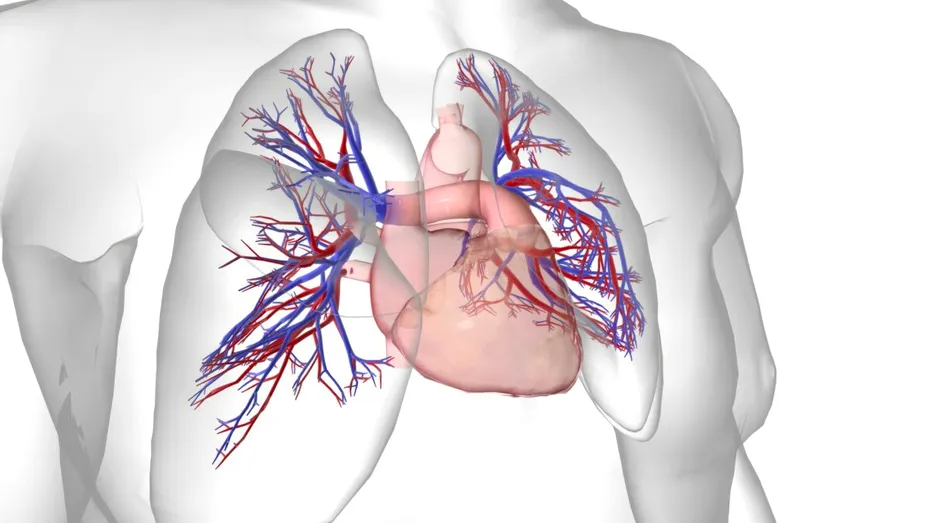 Hipertensiunea arterială pulmonară: o boală rară, complexă și deseori neînțeleasă