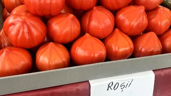 Cu cât se vinde 1 kg de roșii în Piața Obor acum, cu 4 zile înainte de Paște. Sunt mai scumpe decât carnea!