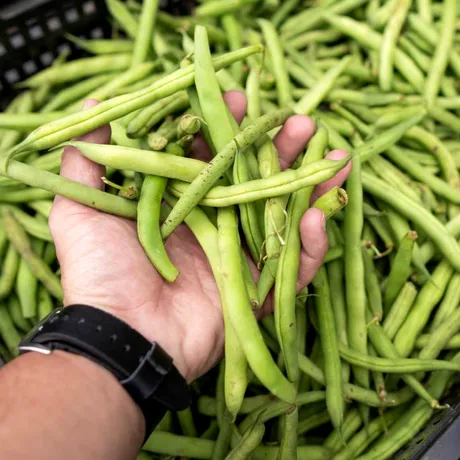 Alimente care te pot ajuta să trăiești mai mult. Le găsești pe toate tarabele din piață. „Sunt adevăratul secret al longevității”