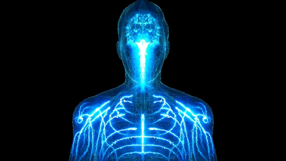 Studiu revoluționar: Memoria nu este doar în creier - Corpul uman stochează informații la scară largă