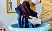 Amestecul NATURAL care înlocuiește detergenții scumpi. Trucul simplu pentru haine curate și proaspete