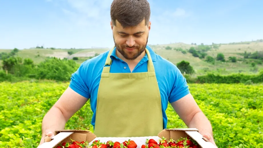 Trucul pentru a avea o recoltă bogată de căpșuni. Ce trebuie să faci după ce înfloresc