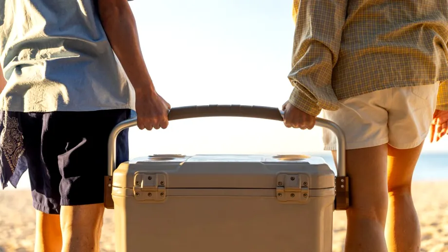 Cum să scapi rapid de mirosurile neplăcute din lada frigorifică. Ingredientul din bucătărie care o face ca nouă