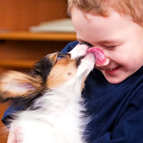 Când linsul devine mai mult decât un gest de afecțiune! Ce spune comportamentul animalului tău