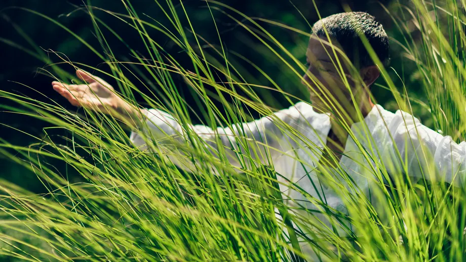 Cum să atragi banii? 6 principii pentru a aduce abundența în viața ta