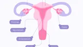 Ce trebuie să ştii despre rănile de pe colul uterin