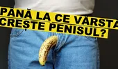 Până la ce vârstă crește penisul?