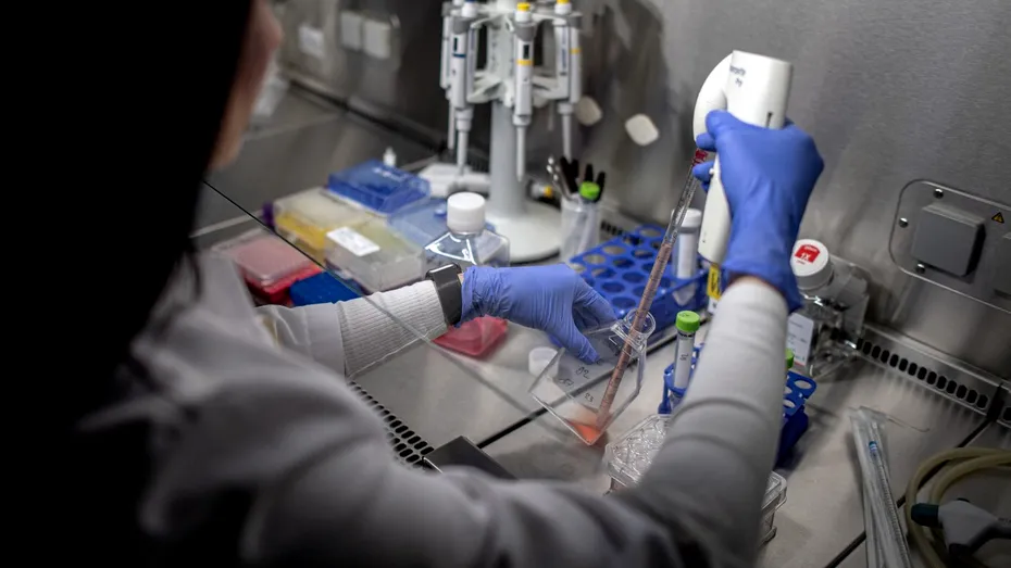 Terapia cu celule stem: o abordare inovatoare pentru tratarea bolilor