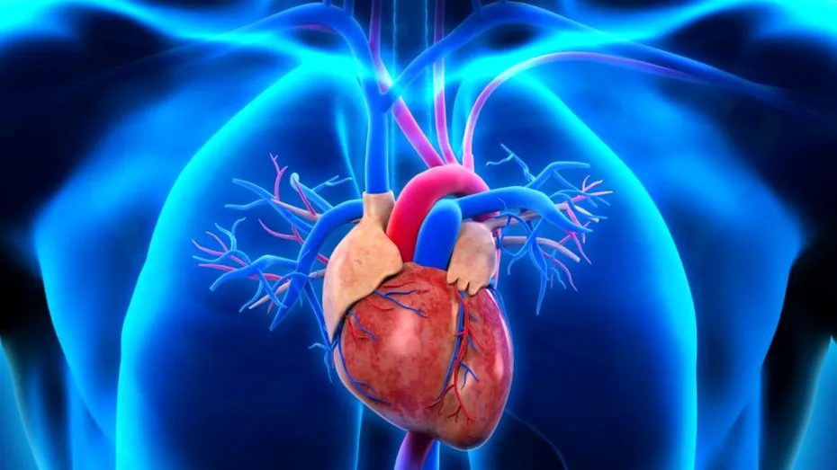 Hipertensiunea pulmonară: cauze, simptome, tratament