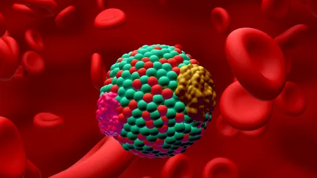 Colesterolul ridicat nu se rezumă la o singură valoare: cardiologul explică ce sunt LDL, ApoB, Lp(a)