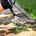 De ce să dai cu oțet prin curte. Trucul grădinarilor pentru o curte fără „musafiri nepoftiți”