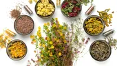 Cele mai puternice plante medicinale pentru sănătate: ce să folosești pentru detoxifiere, rinichi, memorie sau inflamații