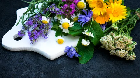 10 flori pe care poți să le mănânci. Beneficiile incredibile ale florilor comestibile