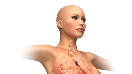 Ce trebuie să știi despre imunitatea ta