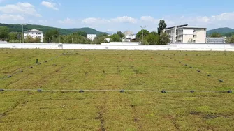 (P) Rolul acoperișurilor verzi în reducerea temperaturii din orașele mari