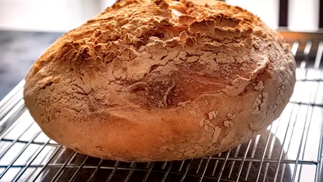 Cum prepari cea mai gustoasă pâine cu făină integrală chiar la tine acasă. Nu ai nevoie de ingrediente multe