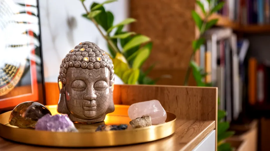 Planta pe care trebuie să o pui la ușa casei ca să atragi bani, noroc și protecție, conform Feng Shui