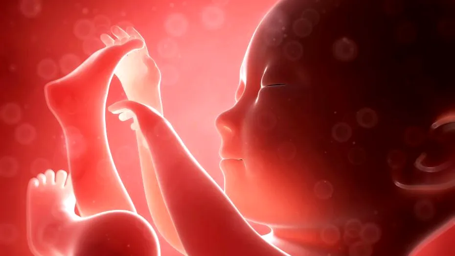 Premieră medicală: prima sarcină prin fertilizare in vitro obţinută ca urmare a unei proceduri de screening genetic preimplant