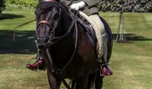 Regina Elisabeta a II-a, călare pe cal la 94 de ani, fără cască de protecţie, ci batic