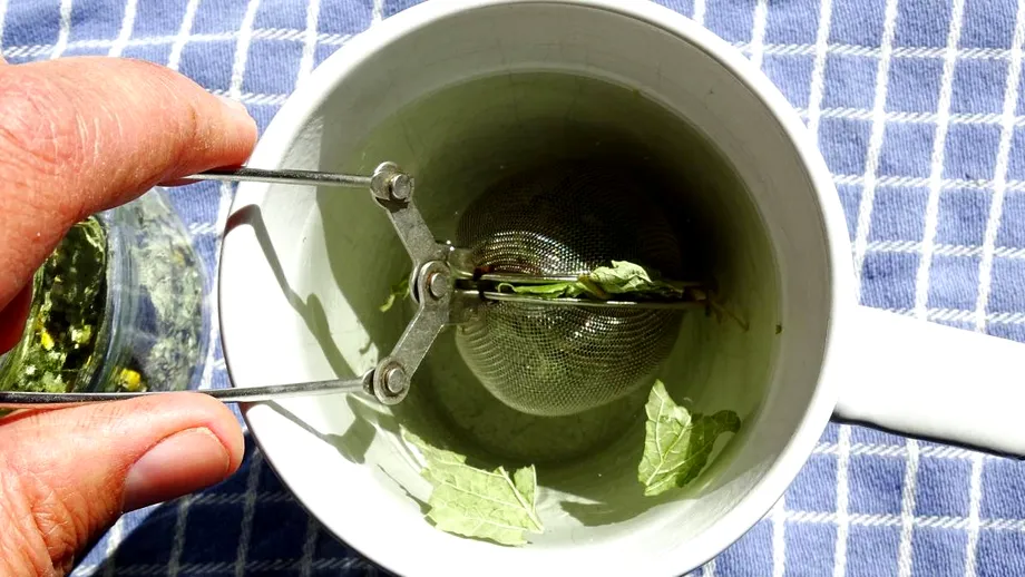 Noua obsesie TikTok: ceaiul cu efecte calmante, digestive și antivirale care acționează și ca un „Ozempic natural”