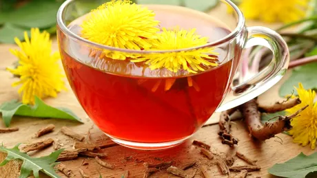 Beneficiile nenumărate ale ceaiului de păpădie. Ajută la slăbit și elimină rapid toxinele din organism. Cum se prepară