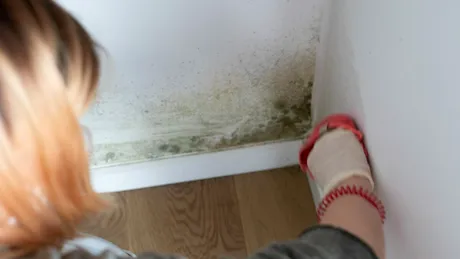 Elimină mucegaiul de pe pereți în 10 minute cu o soluție naturală, făcută în casă